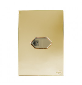 Cj Entrada Rj11 4x2 - Novara Glass Dourado Gold 